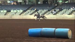 preview picture of video '2013 Southern Horse Bonanza Expo - Elisa Wallace and Fledge'
