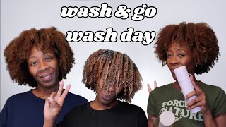 WASH AND GO WITH BREAD |Black Owned Wash Day| Heyknottygirl