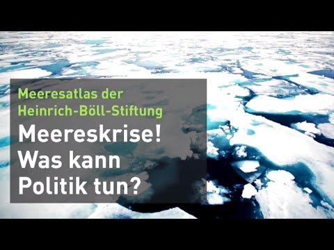 Meereskrise - was kann die Politik tun?