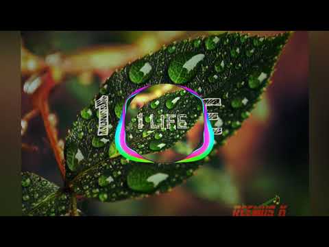 Reemus K - 1 LIFE (Official Audio)