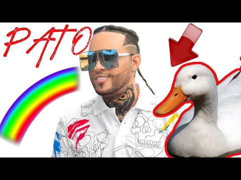 MR SAIK - CUE CUE CUE  - KO EN VIVO 🦆🦆🦆