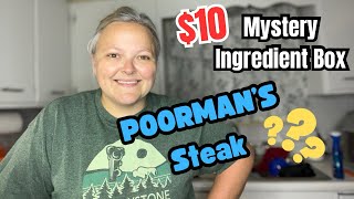 Poorman Steak Recipe || $10 Mystery Ingredient Box || Cheap Meals For Your Family