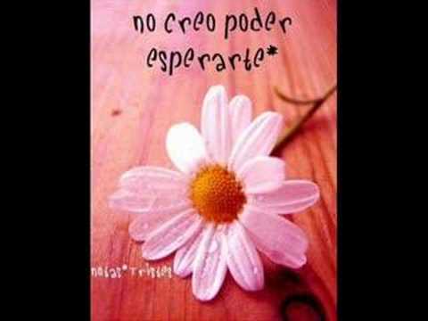 Si te volvieras real  - Pablo Herrera