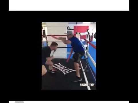 ~子甄彣璟~拳擊棍靶 躲閃訓練器 拳靶棍 格鬥 反應靶子 反應棒 訓練棒 拳擊 跆拳道 棍靶