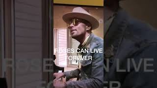 Roses Can Live Forever Bros One Liners