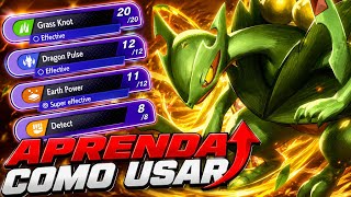 DESTRUINDO TUDO! O MELHOR Time De MEGA SCEPTILE No Pokémon Champions!