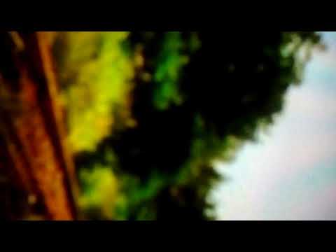 Trenuri Oradea 27.05.2016