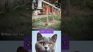 Download lagu wait for the last second#funny #cat #dance #shorts #hilariousfails #funnycats #mimi #prank mp3