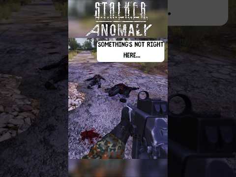 POV: You find 2 dead stalkers... #stalkeranomaly #stalker #stalkergameplay