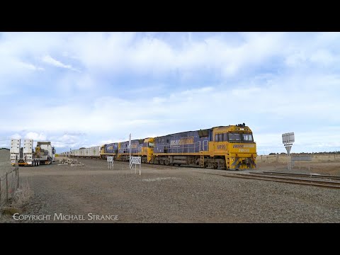 6MP4 Pacific National TOLL Container Train With 3 NR Class Diesel Locomotives (16/8/2024) - PoathTV