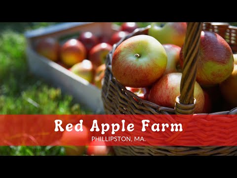 Red Apple Farm, Phillipston MA