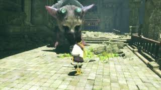 【人喰いの大鷲トリコ#4】トリコなしでは逃げることしかできぬ小僧。【ゾウの初見実況】