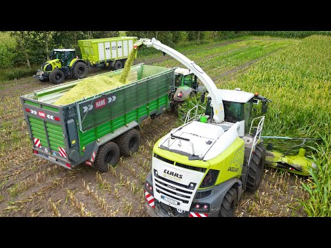 Maishäckseln 2025! Claas Jaguar Häcksler / Fendt & Claas Traktoren /  Lohnunternehmen Speller