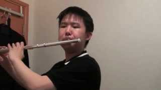 Always On My Mind - flute cover