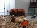 Melioidose Apenas Animação Wmv