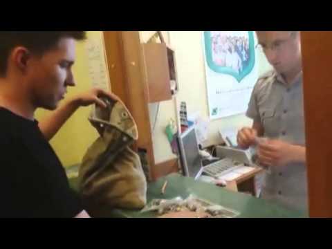 Policja go ukarala mandatem a on odegral sie na ..