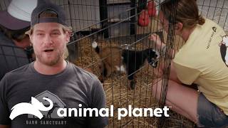 Thumbnail del capítulo