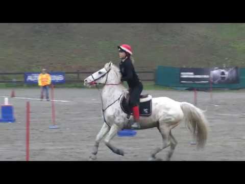 Coppa Piemonte 2019  REBECCA e APACHE   mounted games