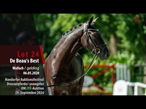 Auktionsfestival Lot 24 De Beau's Best Wallach v. De Beau - Vitalis