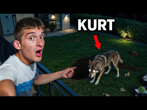 GECE EVİME KURT GİRDİ *bittim*