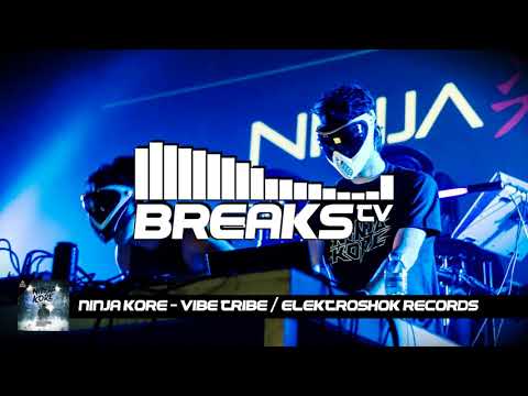 Ninja Kore - Vibe Tribe / Elektroshok Records