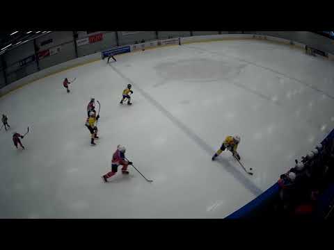 MŽA HC Lvi ČB. - HC Veselí nad Lužnicí III.  tř.  Březen 2019