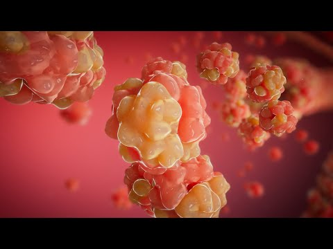 3D Medical Animation Studio | Pharma & Healthcare Visualisation