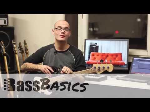 Die 5 wichtigsten Grundlagen für Bass Anfänger