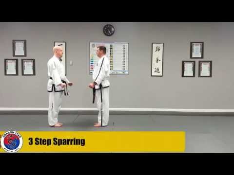 Step Sparring #3 - Yellow Belt (3 Step Sparring)