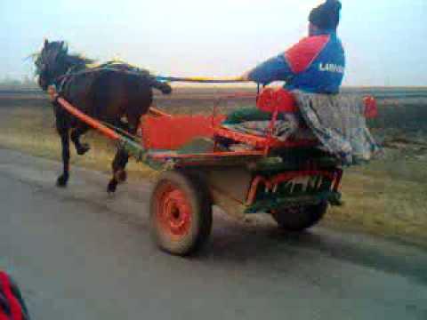 radu poparlan scarlatesti