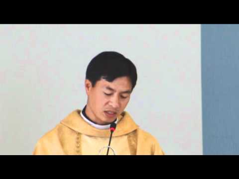 Epifania do Senhor 2012   Pe  Chan Minh Dinh