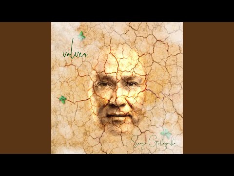 Estoy de Vuelta (feat. Chaqueño Palavecino)