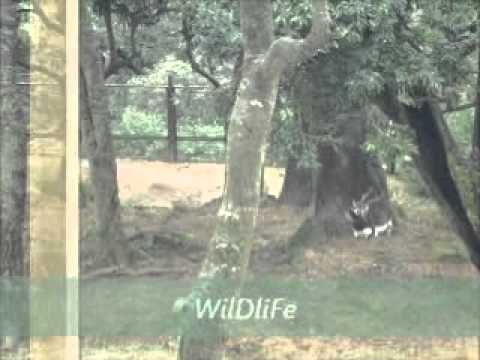 natural resources of nepal by- slesha, nishma & nishika