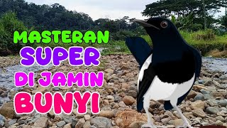 Download lagu PANCINGAN KACER; Masteran super gacor dor di jamin ikutan gacor  mp3