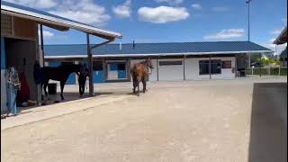 https://youtu.be/kvkWdHO7Dwo?is=TkykZOFW2bb7xl85