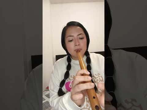 Baila, baila negra 👌🌑 #music #quena #andina #latinoamerica #instrumentalmusic