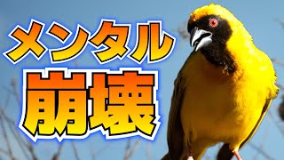 Attach YouTube