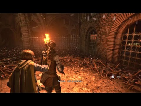 A Plague Tale Requiem: Newcomers - Chapter 2 Walkthrough