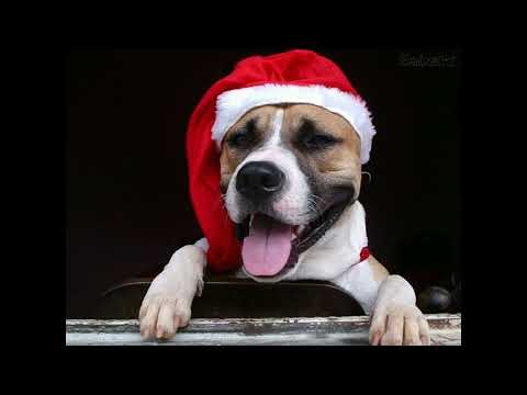 MC LUCY TOMO NA PEPECA VOCAL - CAPELA