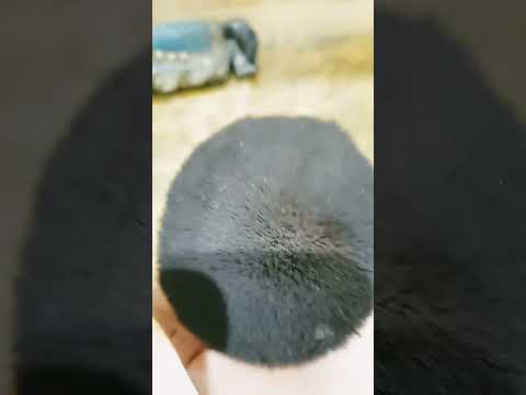 Happy Halloween hashtag cute hashtags cooki