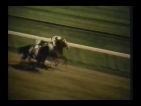 1962 Travers Stakes - Jaipur -vs- Ridan