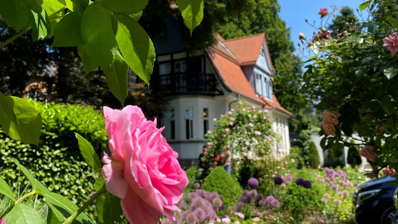 Fabienne Bradfisch-6