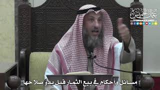 1407 - مسائل وأحكام في بيع الثمار قبل بدوِّ صلاحها - عثمان الخميس
