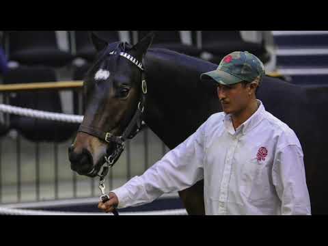 Greys Inn / London Fashion