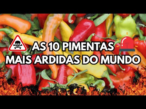 AS 10 PIMENTAS MAIS ARDIDAS DO MUNDO - RANKING ATUALIZADO
