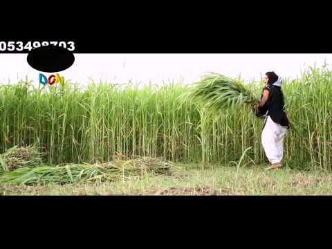 download lagu mp3 mp4 Mahri Gaal Mein Ek Patola Tu, download lagu Mahri Gaal Mein Ek Patola Tu gratis, unduh video klip Mahri Gaal Mein Ek Patola Tu