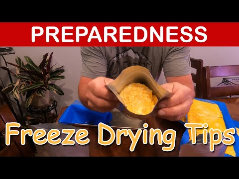 Preservation Perfection: My Tips for Freeze Drying Like a Pro