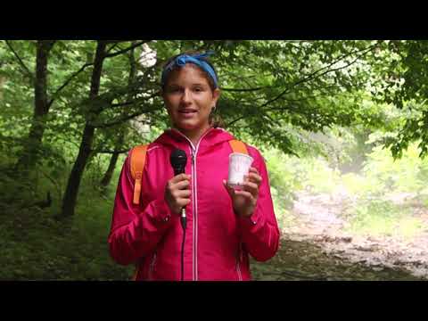 CLAUDIA VLADUT - În cât timp se descompun gunoaiele lăsate în natură de turiști