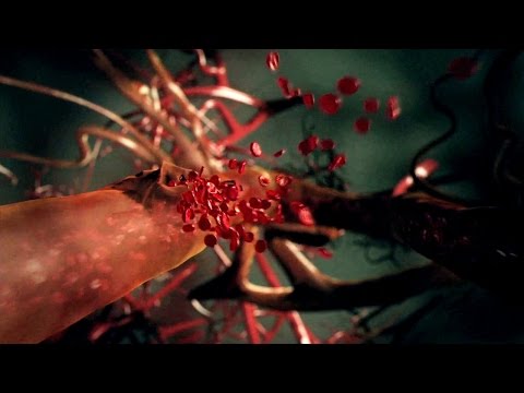 The Living Body - Our Extraordinary Life