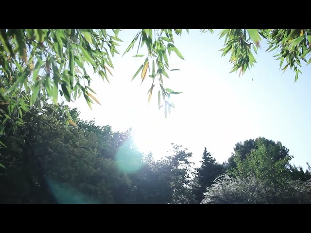 corto3